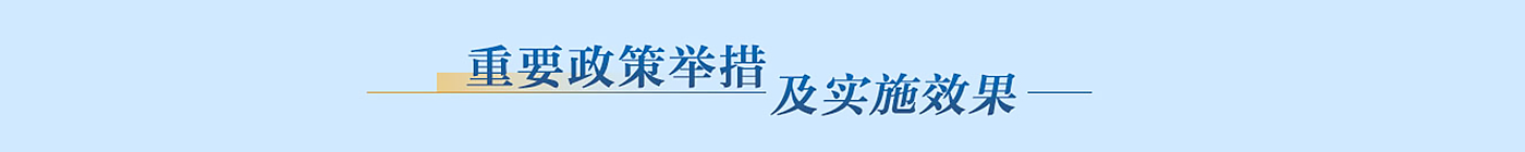 重要政策舉措及實施效果